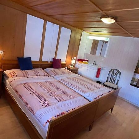 Apartment Chalet Im Sunnigen Usblick Wengen Exteriör bild